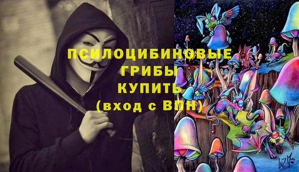 дмт Заволжье