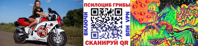 Купить закладки  Спасск-Дальний  Галлюциногенные грибы Psilocybine cubensis 